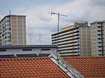 IMGP7390.jpg