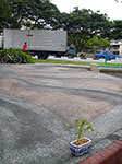 IMGP7402.jpg