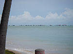 IMGP7405.jpg