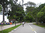 IMGP7411.jpg