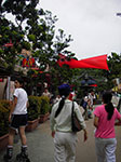 IMGP7419.jpg