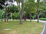 IMGP7426.jpg