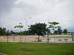 IMGP7431.jpg