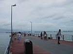 IMGP7438.jpg