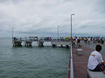 IMGP7445.jpg
