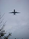 IMGP7462.jpg