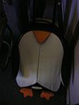 IMGP7536.jpg