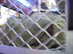 IMGP7540.jpg