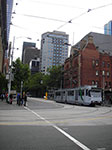 IMGP7541.jpg