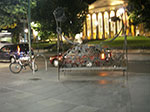 IMGP7563.jpg