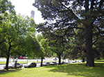 IMGP7574.jpg