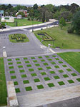 IMGP7593.jpg