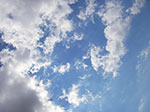 IMGP7597.jpg