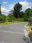 IMGP7605.jpg
