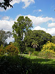 IMGP7607.jpg