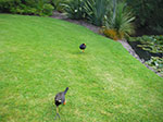 Photos