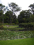 IMGP7615.jpg