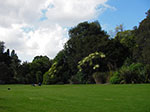 IMGP7617.jpg