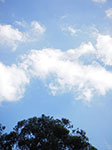 IMGP7623.jpg