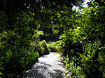 IMGP7629.jpg