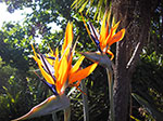 IMGP7632.jpg