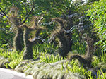 IMGP7633.jpg