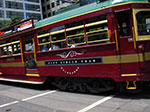 IMGP7645.jpg