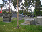IMGP7654.jpg