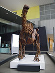 IMGP7664.jpg