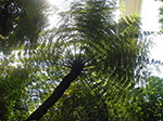 IMGP7668.jpg