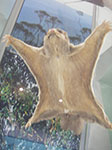 IMGP7675.jpg