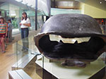 IMGP7676.jpg
