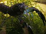 IMGP7685.jpg