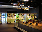 IMGP7698.jpg