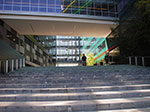 IMGP7718.jpg