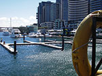 IMGP7737.jpg