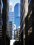 IMGP7773.jpg