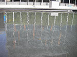 IMGP7775.jpg