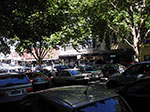 IMGP7785.jpg