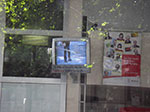 IMGP7787.jpg