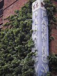 IMGP7805.jpg
