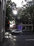 IMGP7807.jpg