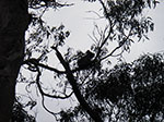 IMGP7881.jpg