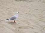 IMGP7896.jpg
