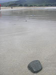 IMGP7910.jpg