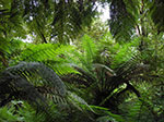 IMGP7939.jpg