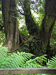 IMGP7942.jpg