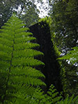 IMGP7943.jpg