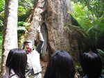 IMGP7945.jpg