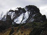 IMGP8047.jpg